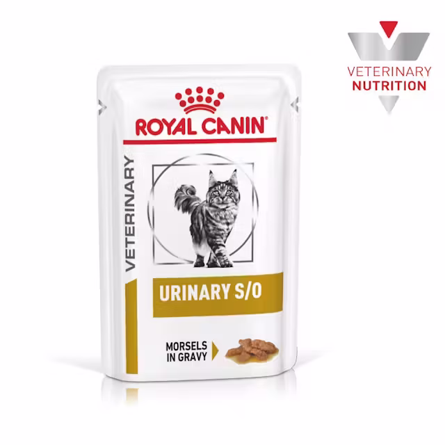 Royal Canin Veterinary Urinary S/O 12x85 Gr Yetişkin Kedi Yaş Maması