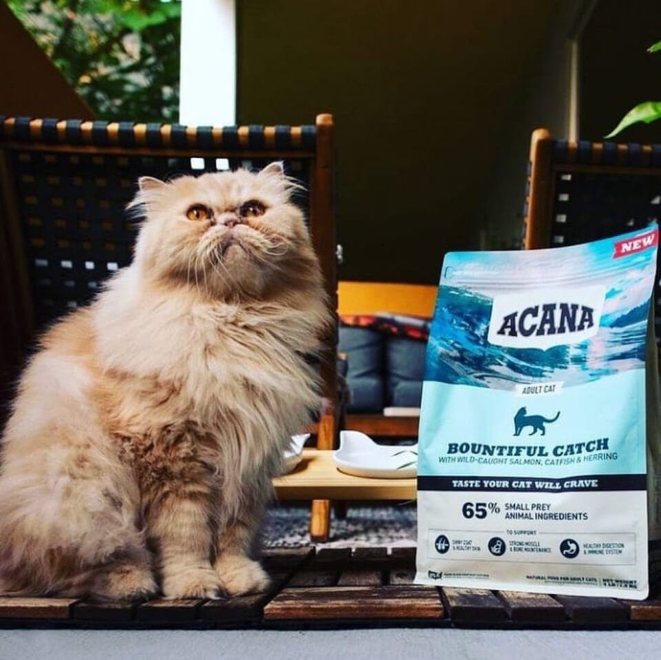 Acana Bountiful Catch 1.8 kg Yetişkin Kedi Maması