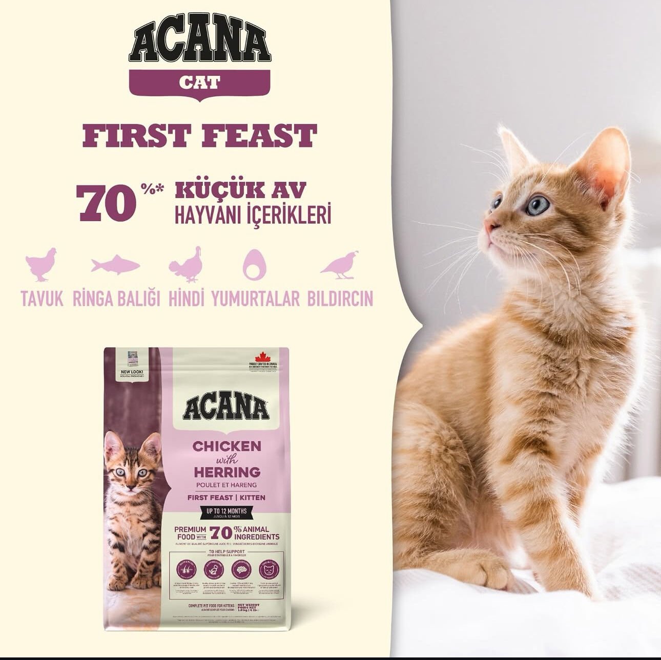 Acana First Feast Kitten 1.8 kg Yavru Kedi Maması