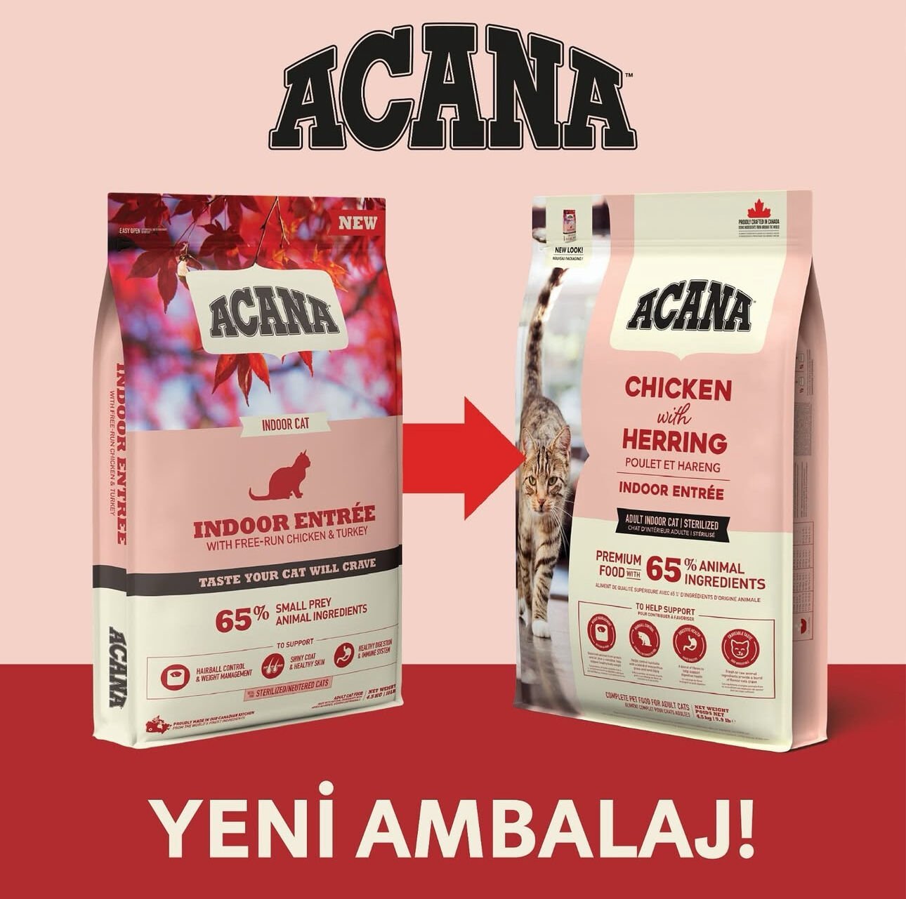 Acana Indoor Entree Sterilised 4.5 kg Yetişkin Kedi Maması