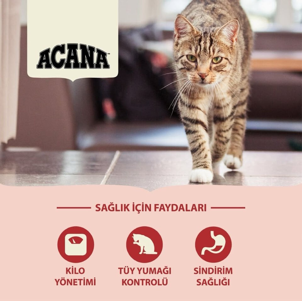 Acana Indoor Entree Sterilised 4.5 kg Yetişkin Kedi Maması