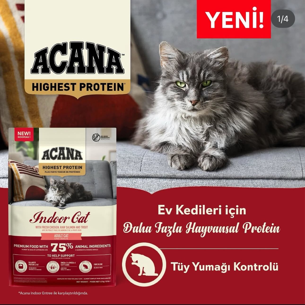 Acana Highest Protein İndoor 1.8 kg Yetişkin Kedi Maması
