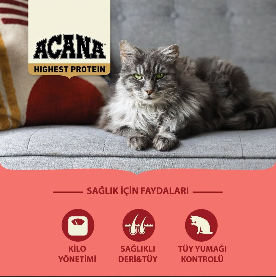 Acana Highest Protein İndoor 4.5 kg Yetişkin Kedi Maması