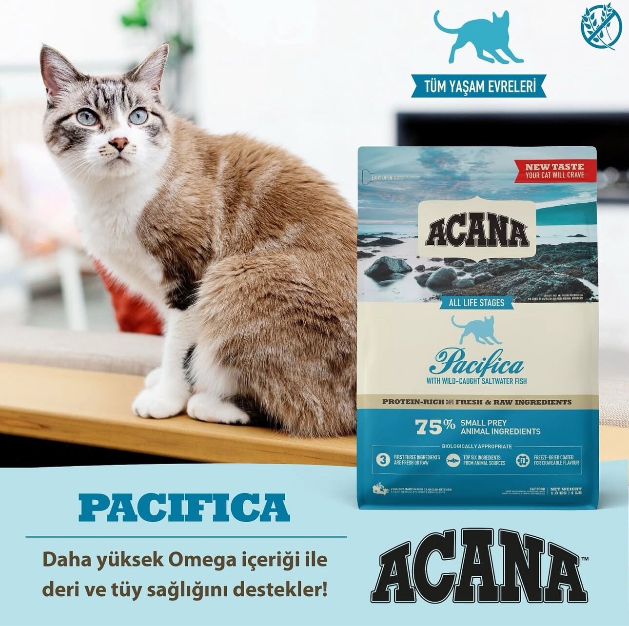 Acana Pacifica Tahılsız Balıklı 4.5 kg Tüm Yaşam Evreleri Yetişkin Kedi Maması
