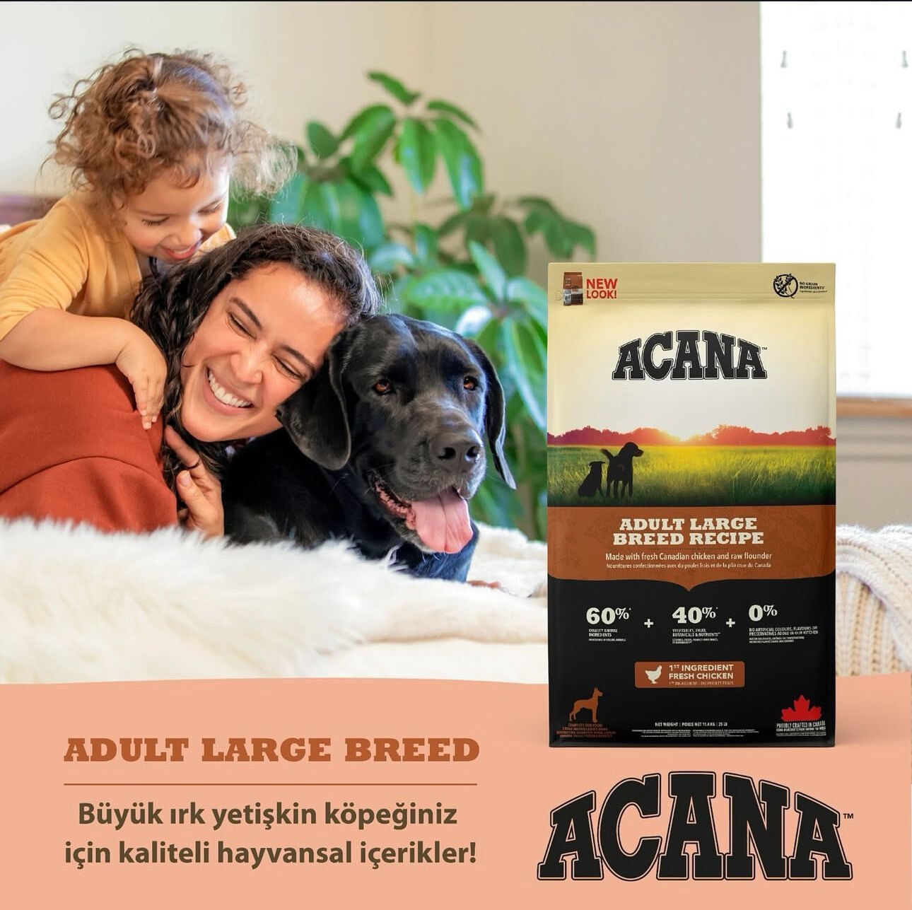 Acana Heritage Adult Large Breed 17 kg Yetişkin Köpek Maması