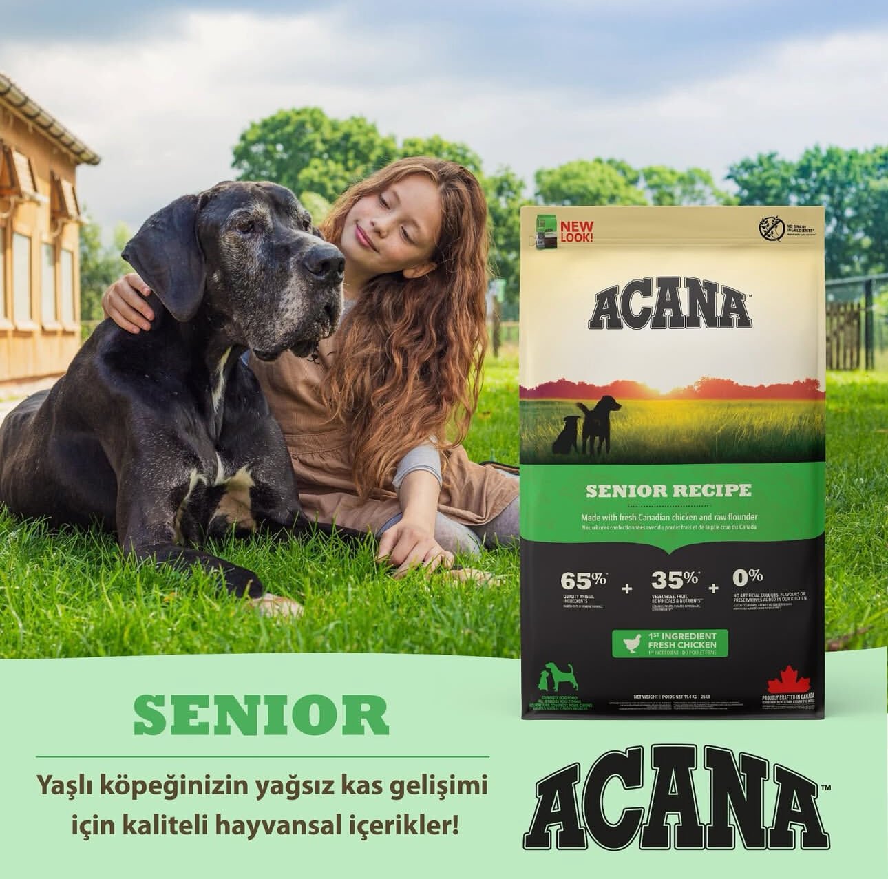 Acana Heritage Senior 11.4 kg Yaşlı Köpek Maması