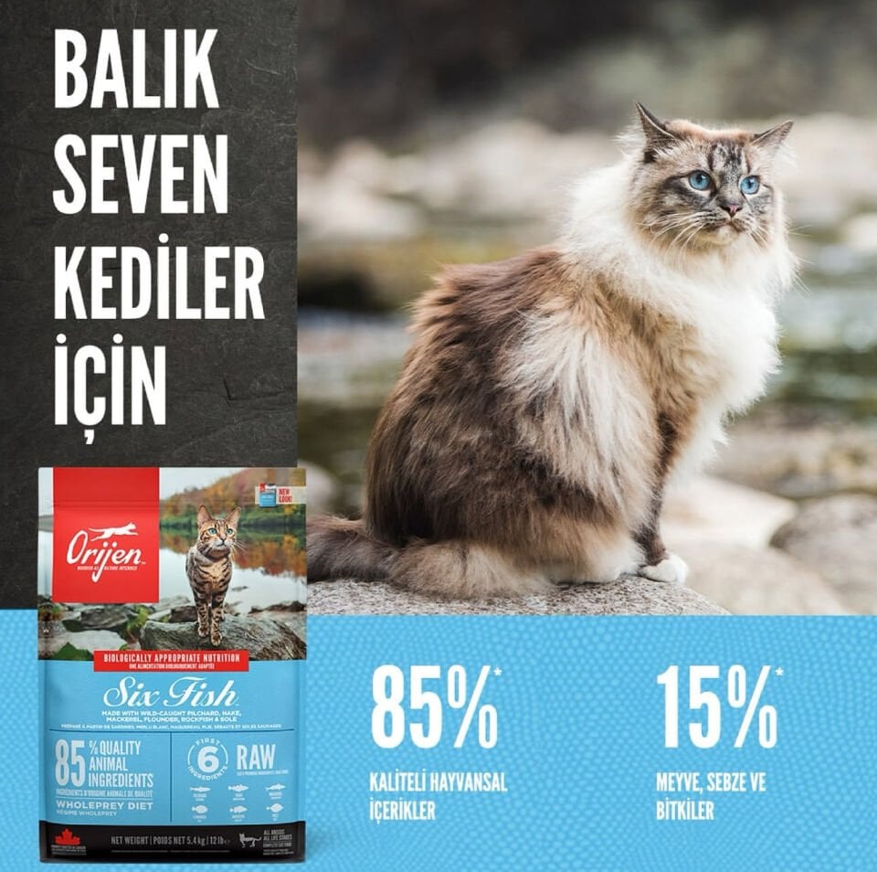 Orijen Six Fish Tahılsız Balıklı 5.4 kg Yetişkin Kedi Maması