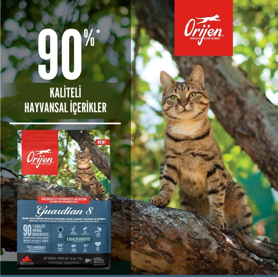 Orijen Guardian 8 4.5 kg Yetişkin Kedi Maması