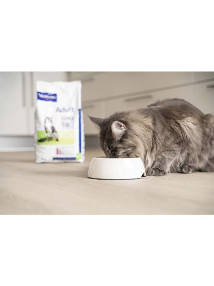 Virbac Adult Cat Salmon Neutered&entire 12 kg Yeni
