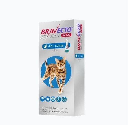 Bravecto DuAct Kedi 2.8-6.25 kg İçin Damla 0.89 ml 1 Tüp.SKT:2026