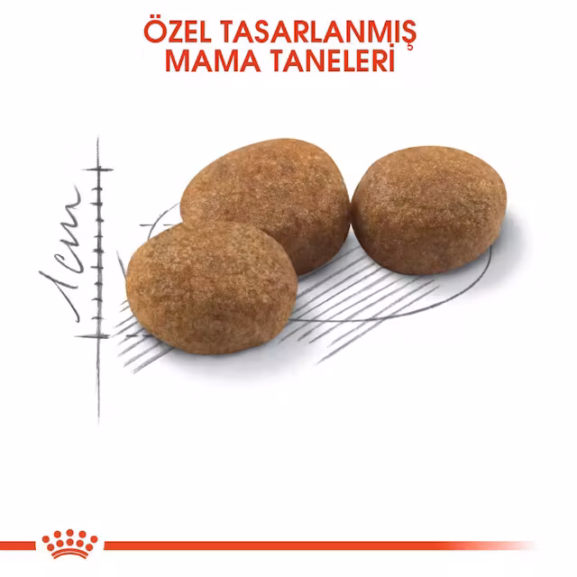 Royal Canin Sterilised 4 kg Kısırlaştırılmış Yetişkin Kedi Maması