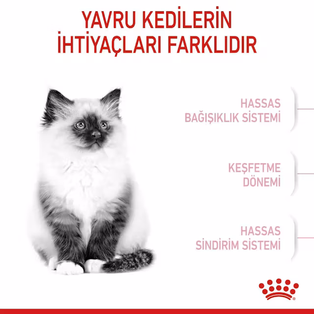 Royal Canin Kitten 10 kg Yavru Kedi Maması