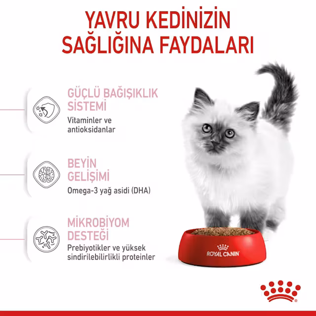 Royal Canin Kitten 10 Kg Yavru Kedi Maması