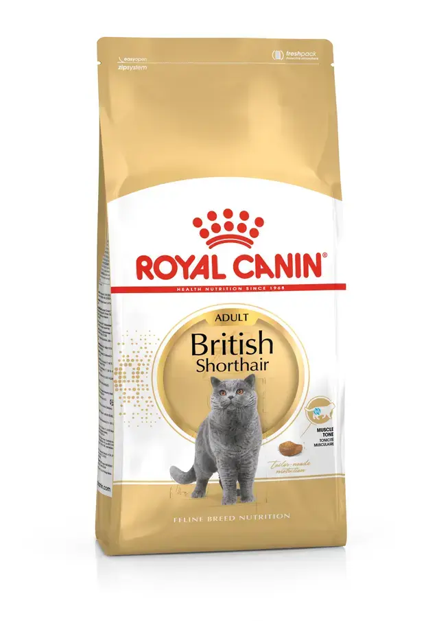 Royal Canin British Shorthair 10 kg Yetişkin Kedi Maması