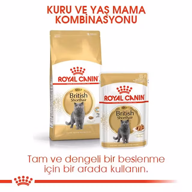Royal Canin British Shorthair 10 kg Yetişkin Kedi Maması