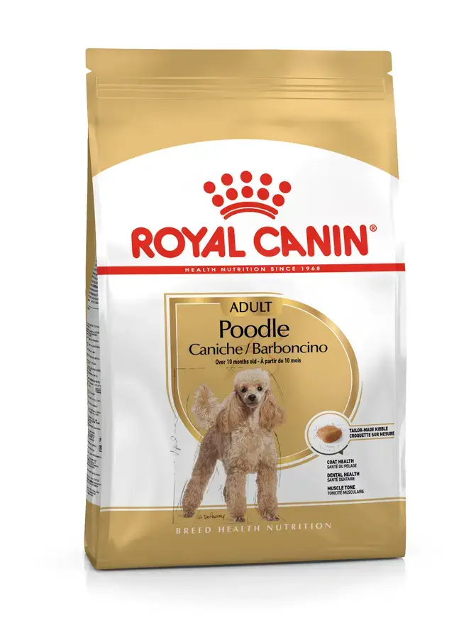 Poodle Adult 3 Kg Yetişkin Köpek Kuru Maması