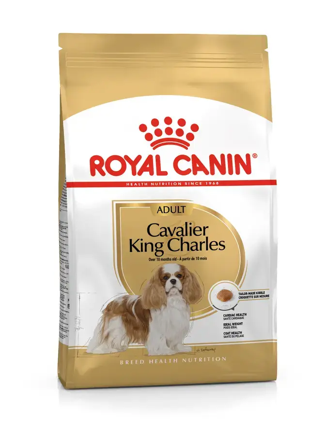 Cavalier King Charles Adult Yetişkin Köpek Kuru Maması 1.5 Kg