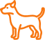 Köpek